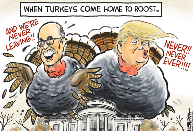 Cartoons: Trump concedes? | COVID-19 resurges | Newsom
quarantines 1