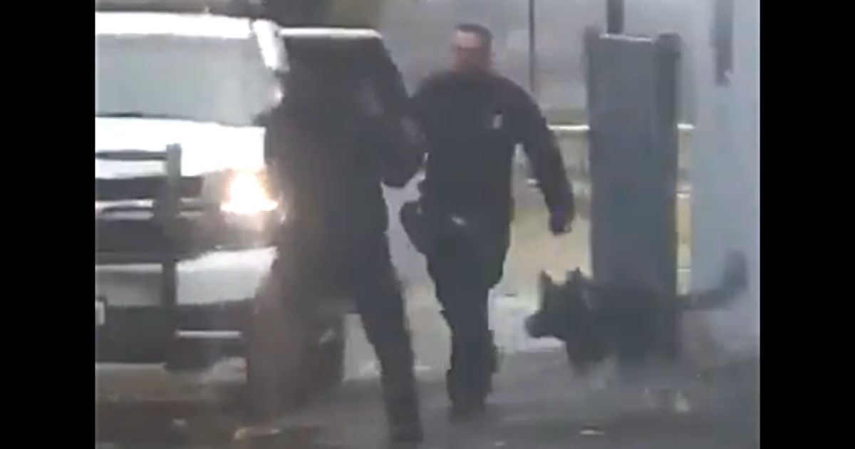Punk Slugs Cop Out of the Blue, Officer Opens Cruiser Door
and Lets ‘Lee’ Handle Him 1