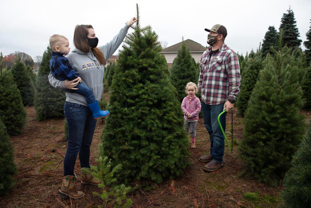 Many Americans turning to real Christmas trees as bright
spot amid coronavirus 1