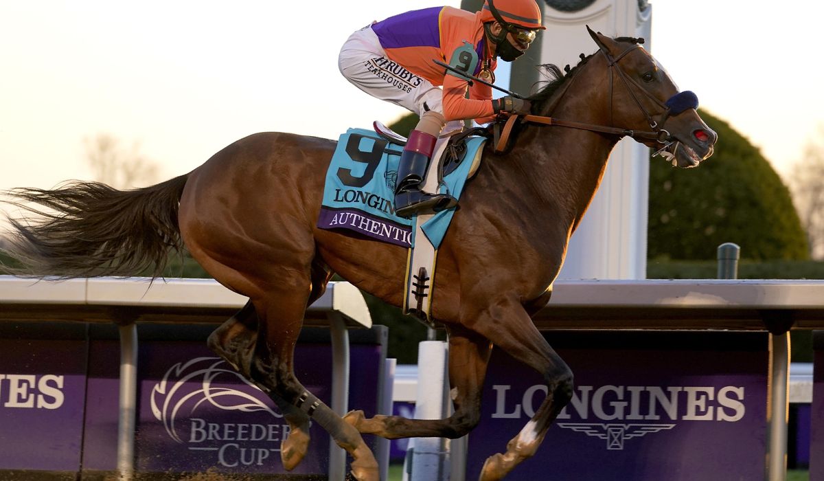 Authentic goes wire-to-wire to win Breeders' Cup
Classic 1