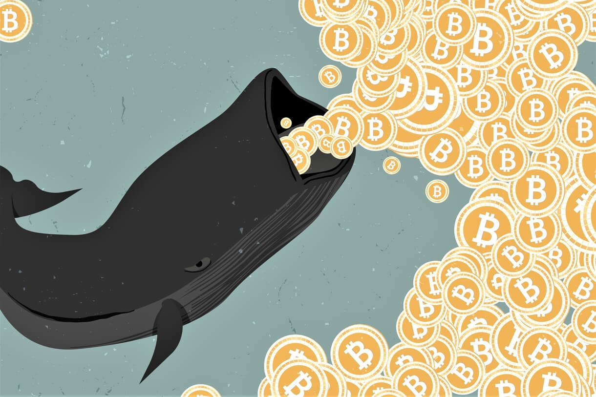 Daily Digest 11/9 – US Government Is Now Top Bitcoin Whale,
Dow, S&P hit records on Pfizer’s COVID-19 vaccine
progress 1
