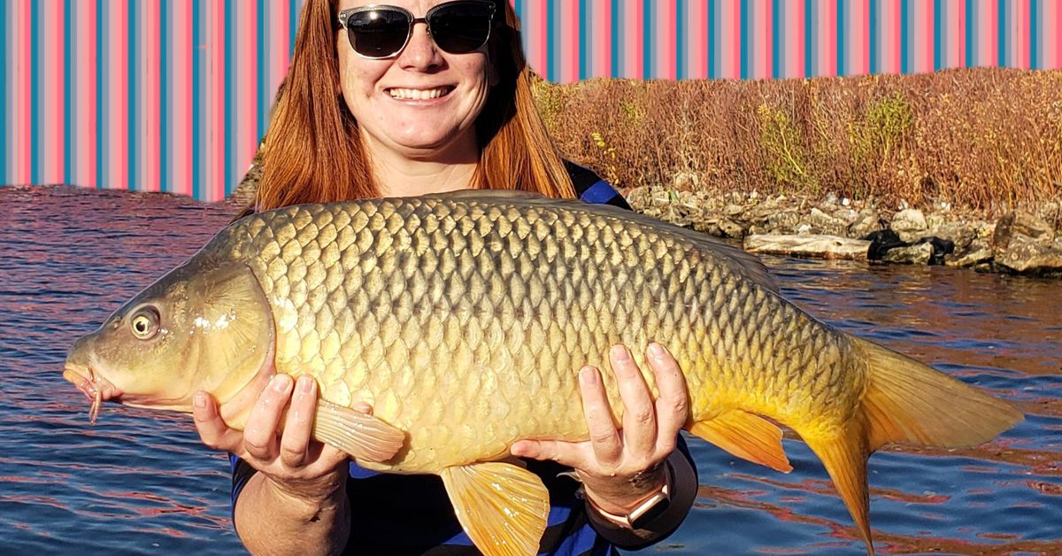 Personal-best carp: Sara Baillie moves up in class on the
Chicago River 1