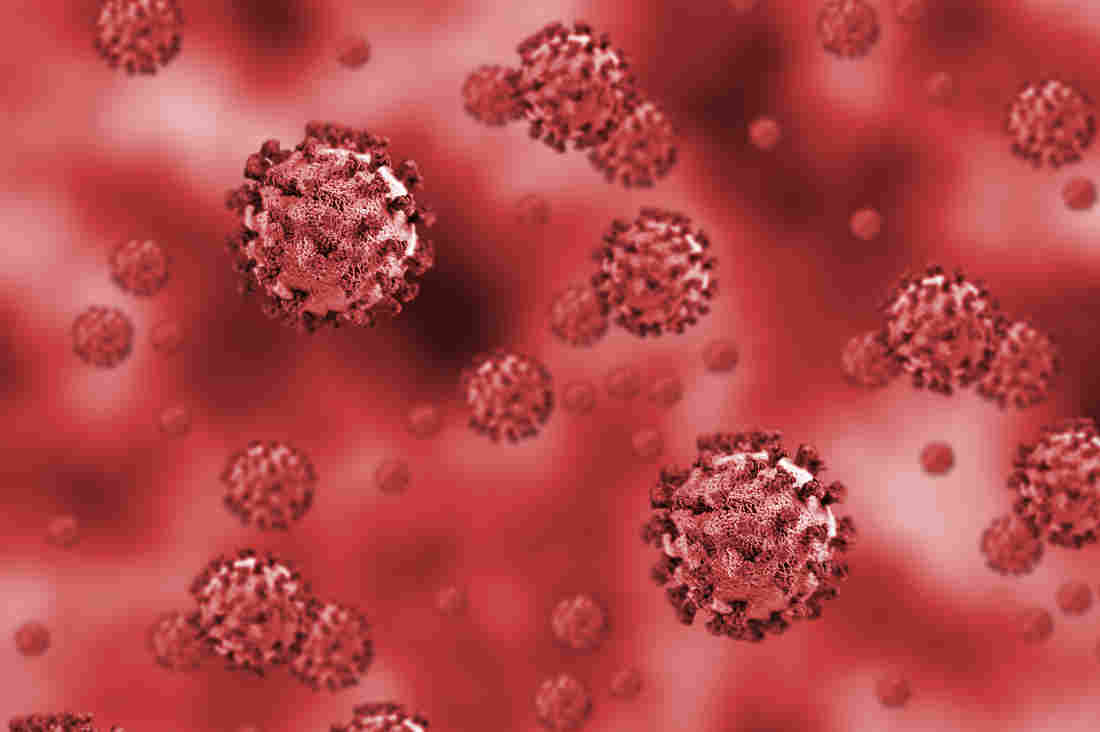 Clots, Strokes And Rashes. Is COVID-19 A Disease Of The
Blood Vessels? 1