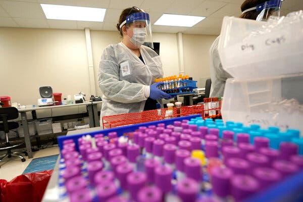 Children Produce Weaker Coronavirus Antibodies, Study
Finds 1
