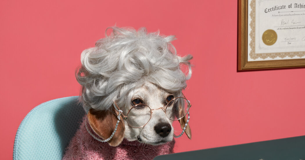 I Don’t Want to Be the Office Grandma 1