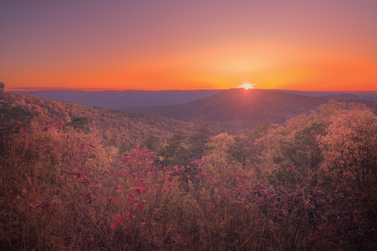 During COVID-19 pandemic, Ozarks will pay you $10,000 to
move there 1