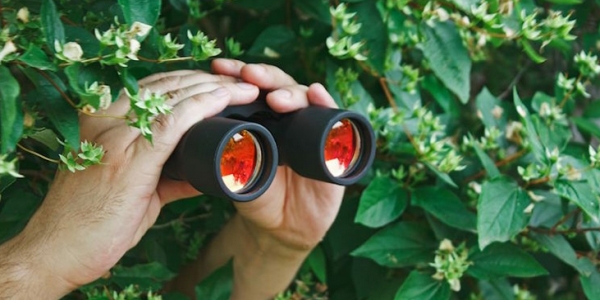 Government spies tracking Brits' movements to confirm
they're complying with lockdown 1
