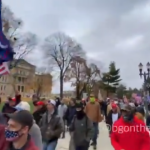 Young Group of America First Patriots Hold Defiant Pro-Trump
Rally at the Michigan State Capitol 1