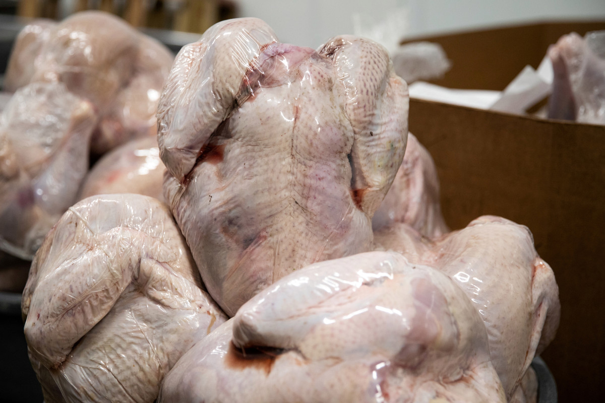 COVID-19 surge, small gatherings cut into Thanksgiving
turkey demand 1