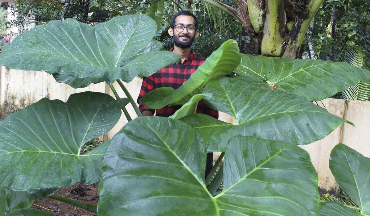 Son, father farm to feed neighbors during lockdown in
India 1