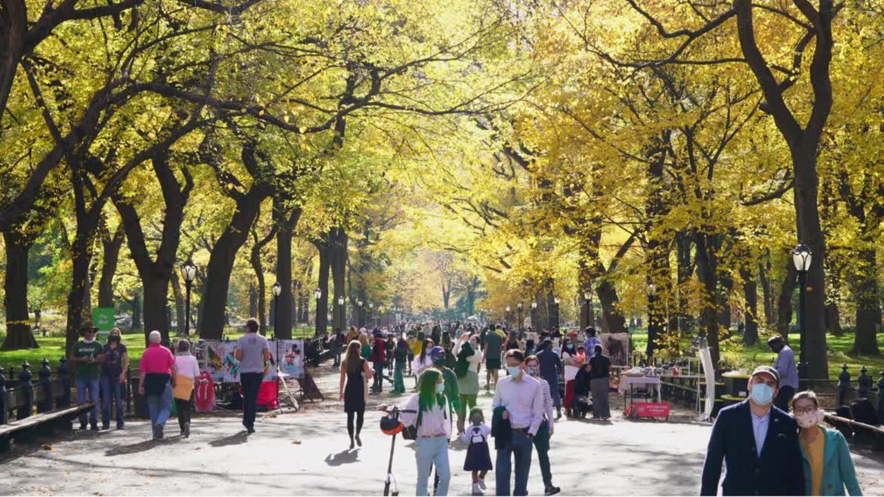 As COVID-19 vaccines roll out, what will US cities look like
in a post-pandemic world? 1