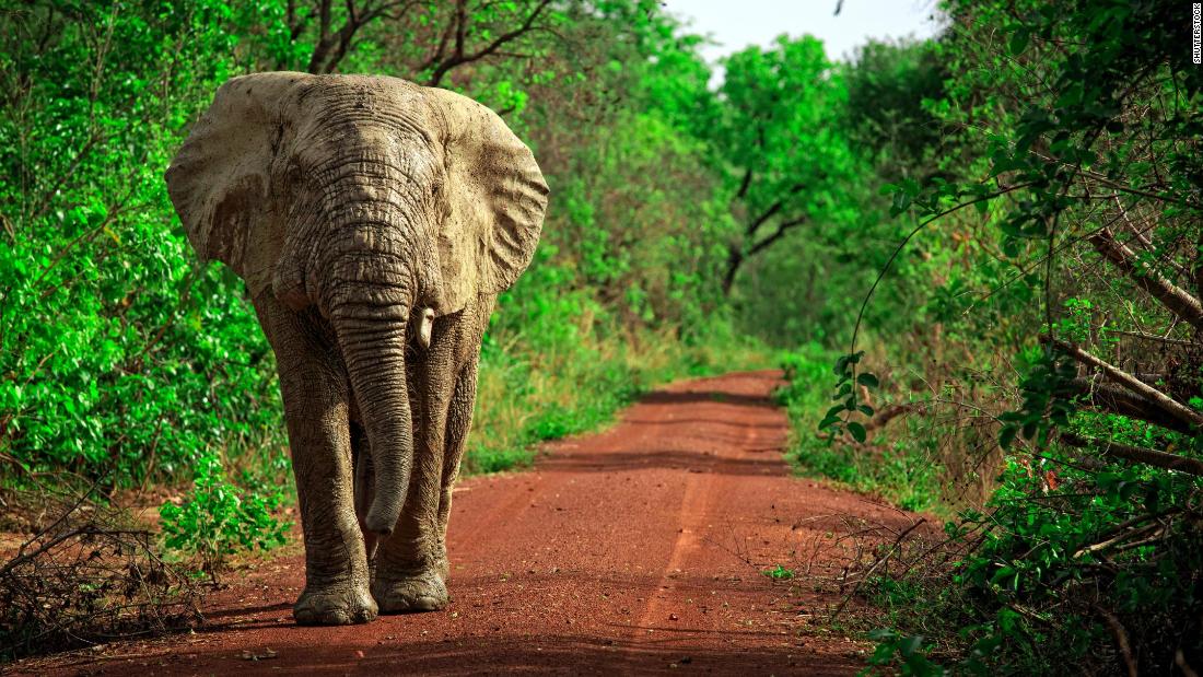 Traveling to Ghana during Covid-19: What you need to know
before you go 1