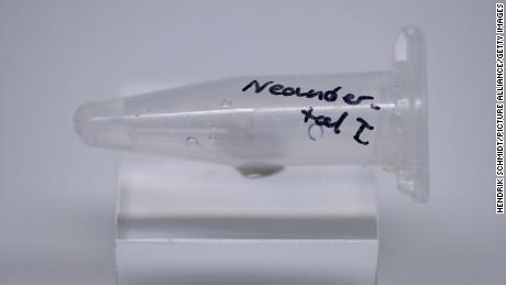 How Neanderthal DNA affects human health -- including the
risk of getting Covid-19 1