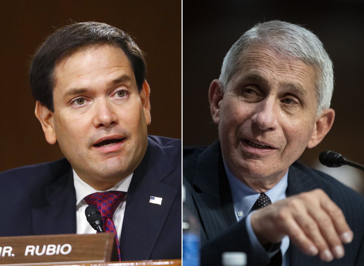 Marco Rubio accuses Fauci of lying about masks, coronavirus,
herd immunity during anti-lockdown online rant 1