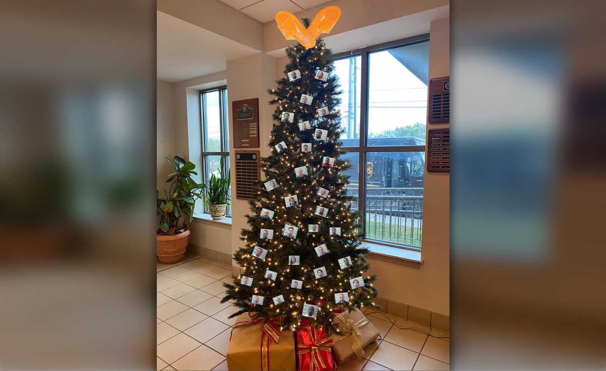 Alabama sheriff’s office deletes photos of ‘thugshots’
Christmas tree after backlash 1