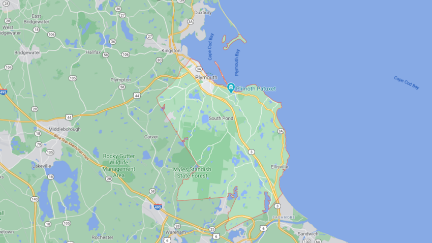 Plymouth officer fatally shoots police dog after it attacks
him 1