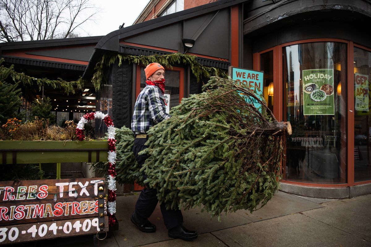 Tree sales soar ahead of coronavirus Christmas: ‘We didn’t
really see it coming’ 1