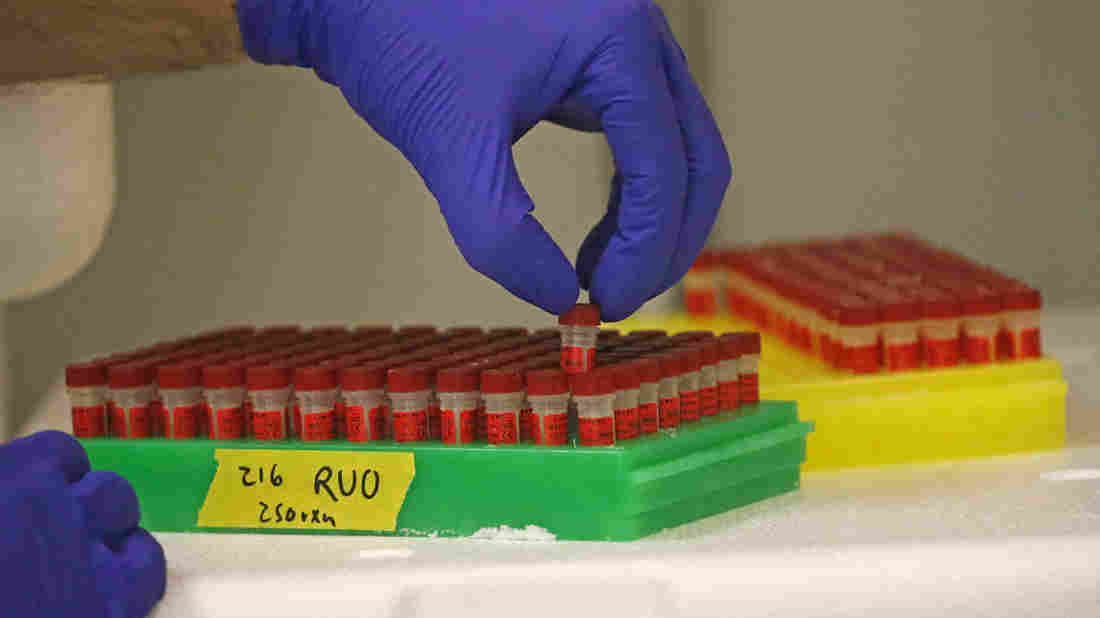 Stock Sales By Leaders At Coronavirus Testing Company Raise
Legal Concerns 1