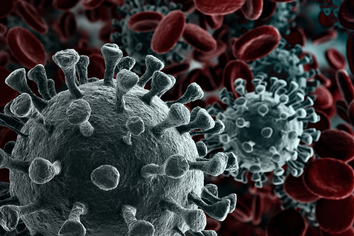 COVID-19 may have been in the US weeks earlier than we
thought: study 1