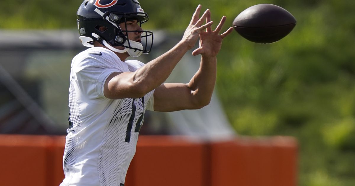 WR Thomas Ives is 3rd Bears practice-squad player to test
positive for coronavirus 1