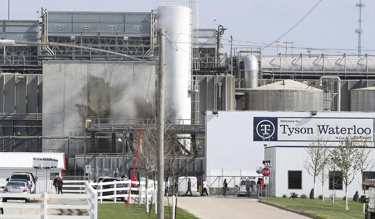Fired Tyson boss says COVID office pool was a 'morale
boost' 1