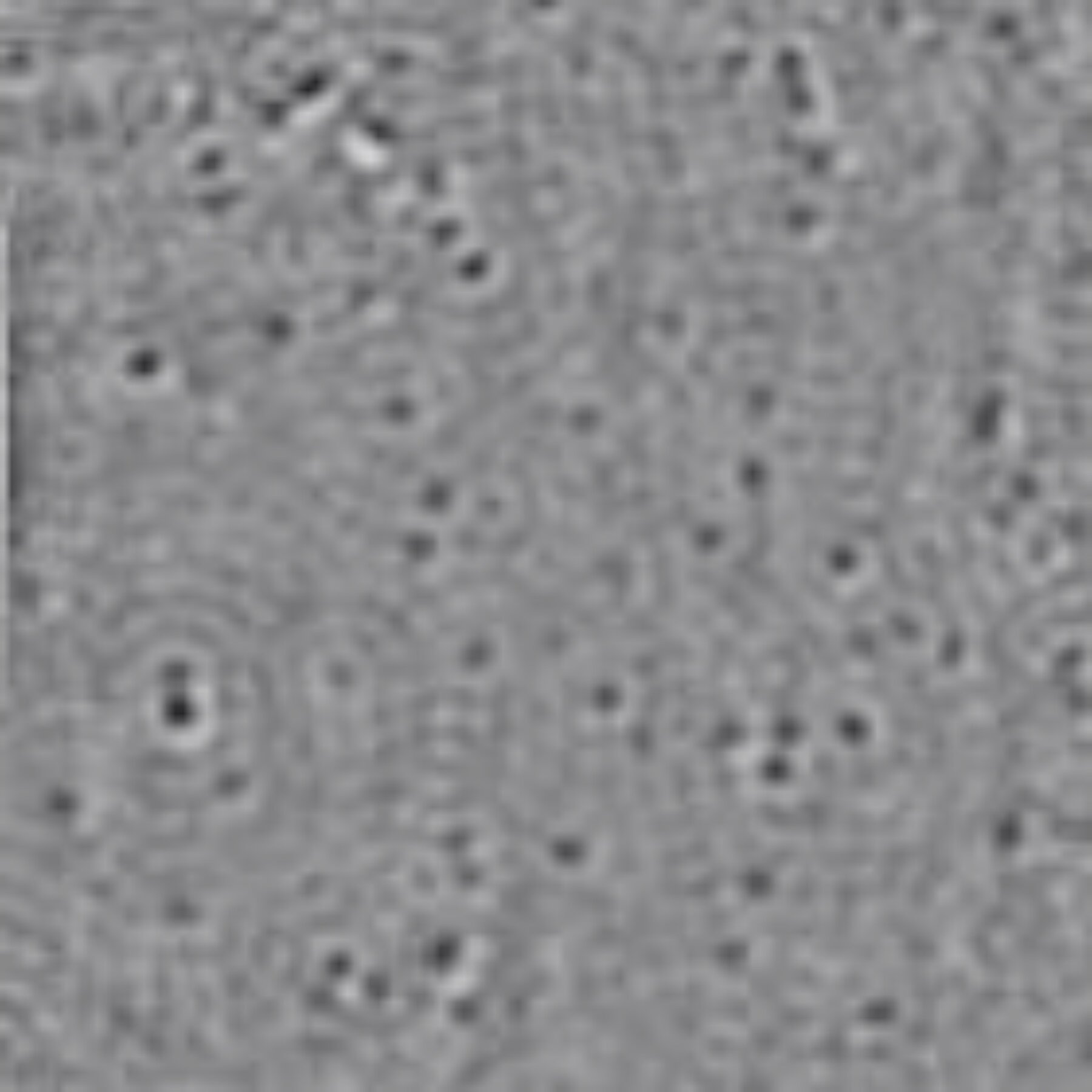 If You Squeeze the Coronavirus, Does It Shatter? 1 If You Squeeze the Coronavirus, Does It Shatter? 1