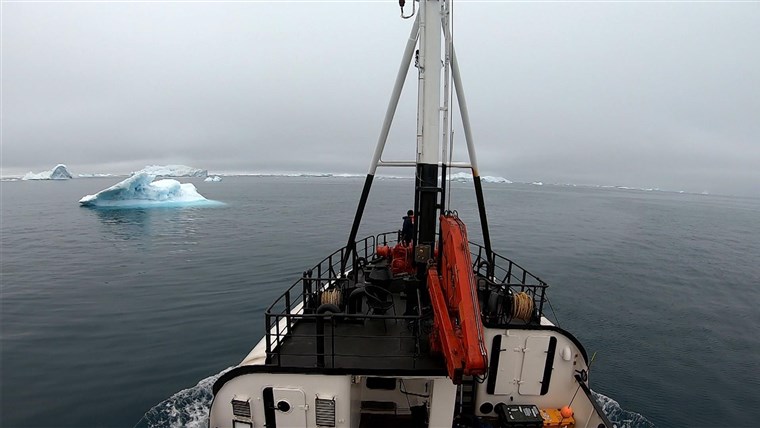 Last-minute White House decision opens more Arctic land to
oil leasing 1
