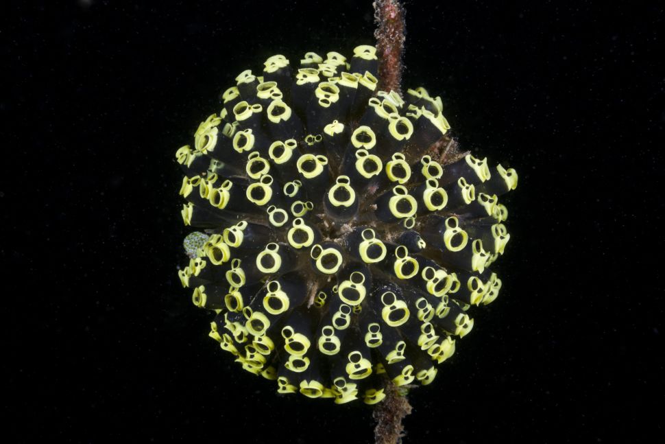 Groundbreaking COVID-19 Treatment Found In Unexpected Cancer
Drug 1 Groundbreaking COVID-19 Treatment Found In Unexpected Cancer
Drug 1