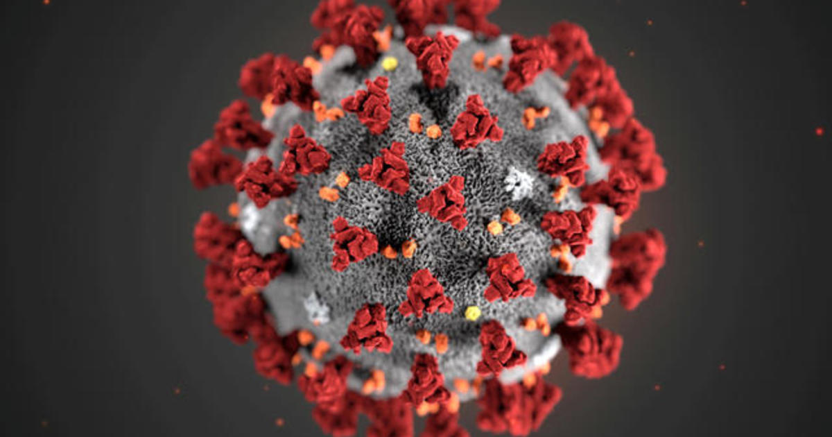 Some patients report long-term effects of COVID-19 1