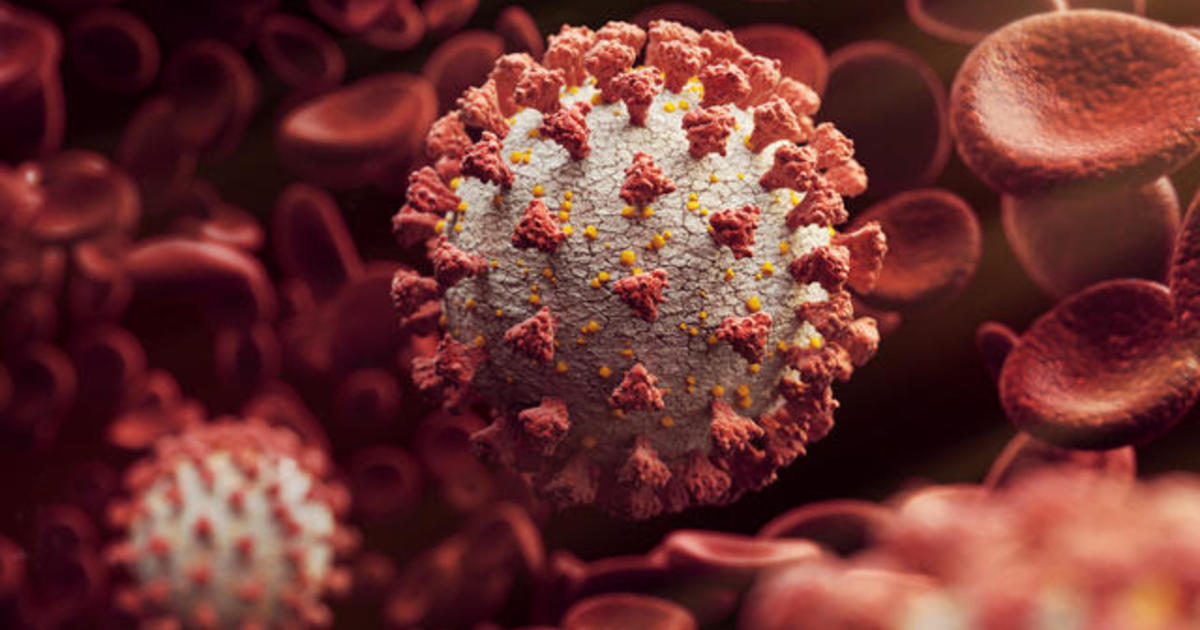 New coronavirus strain spreads in U.S. and U.K. 1