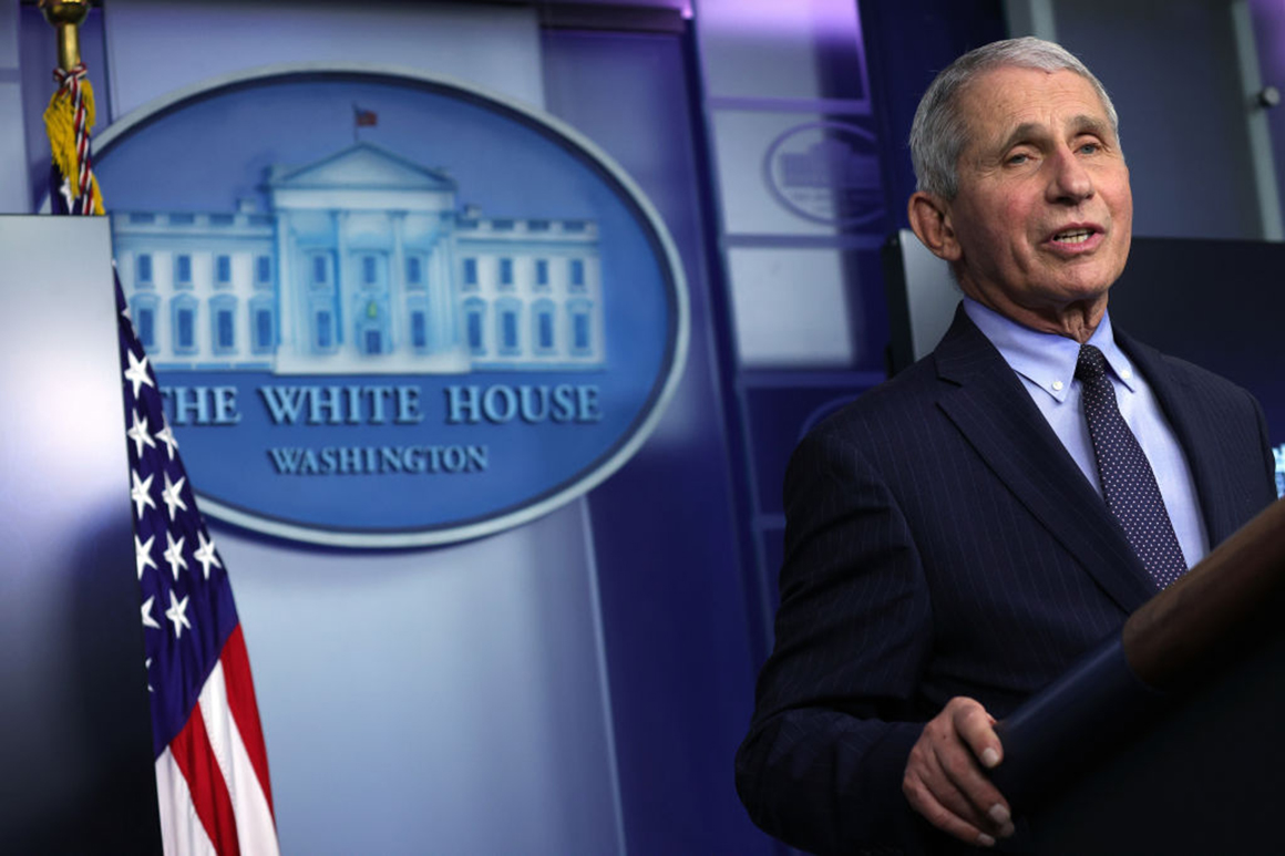 Fauci calls 500,000 coronavirus deaths 'terrible' 1