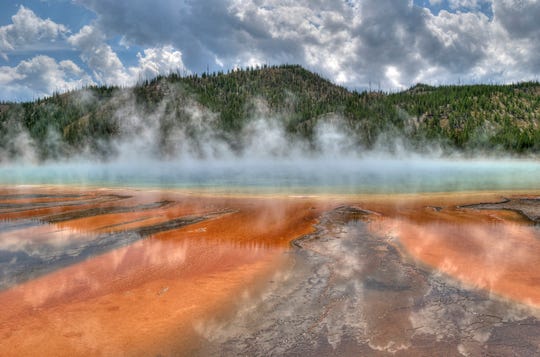 How a 1960s discovery in Yellowstone made millions of
COVID-19 PCR tests possible 1