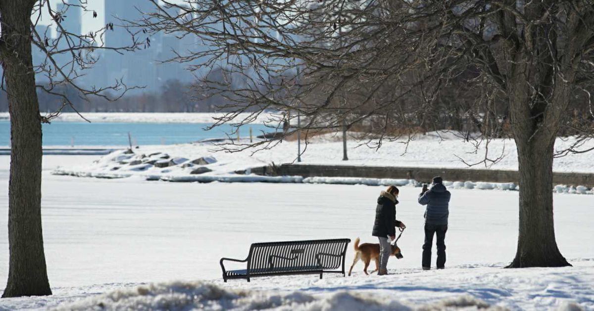 Chicago Park District to reopen the lakefront, play areas,
swimming pools 1
