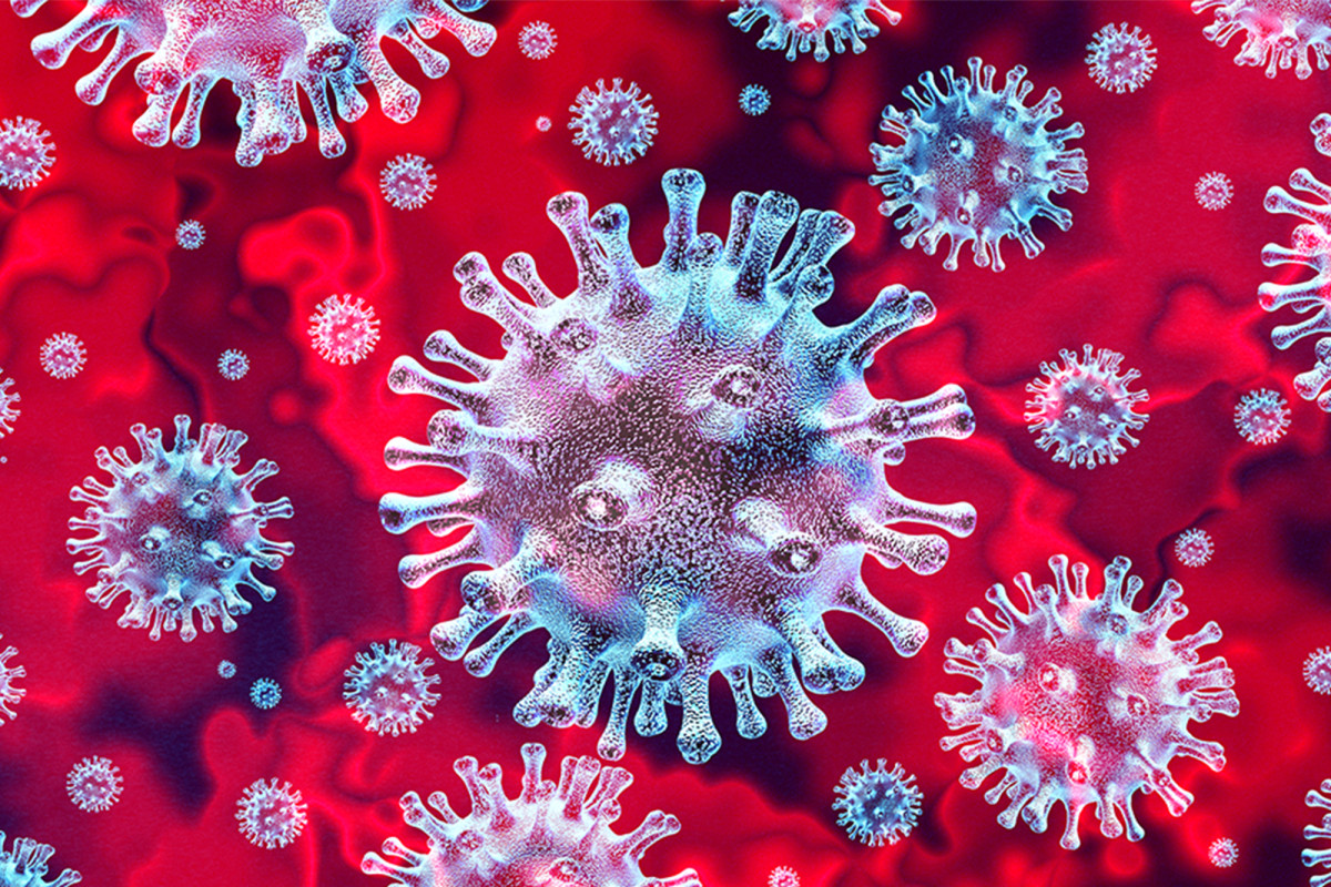 Michigan woman dies from COVID-19 after lung transplant:
study 1