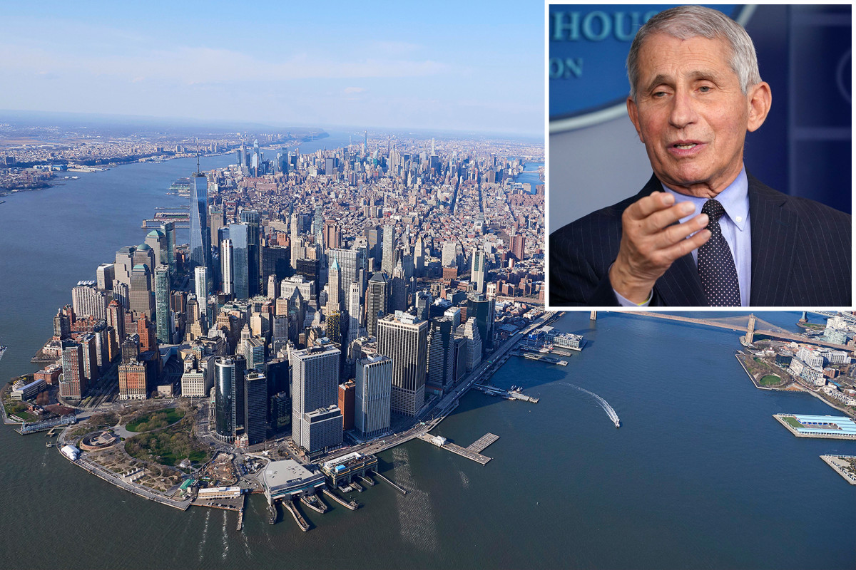 Fauci says no need to ‘despair’ over discovery of NY
COVID-19 variant 1