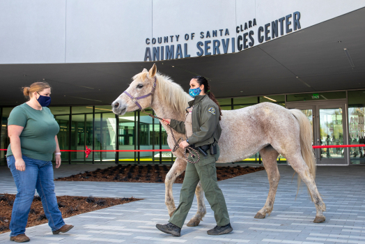 Photos: Santa Clara County opens new Animal Services Center
in San Martin 1