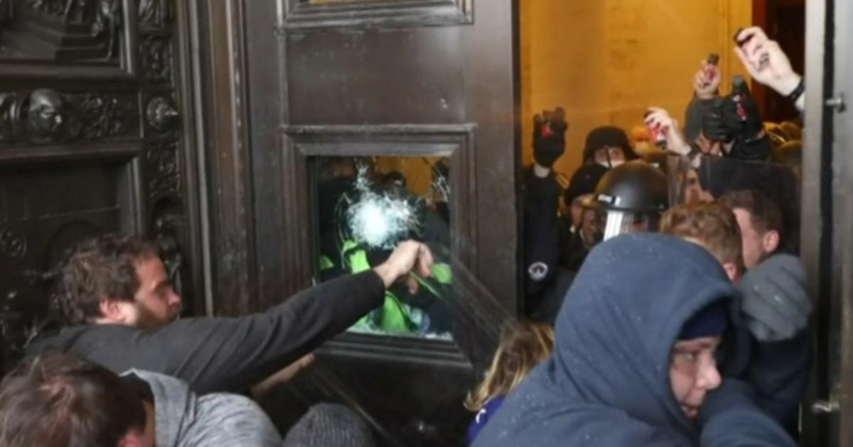 House committee addresses domestic terrorism after Capitol
riot 1