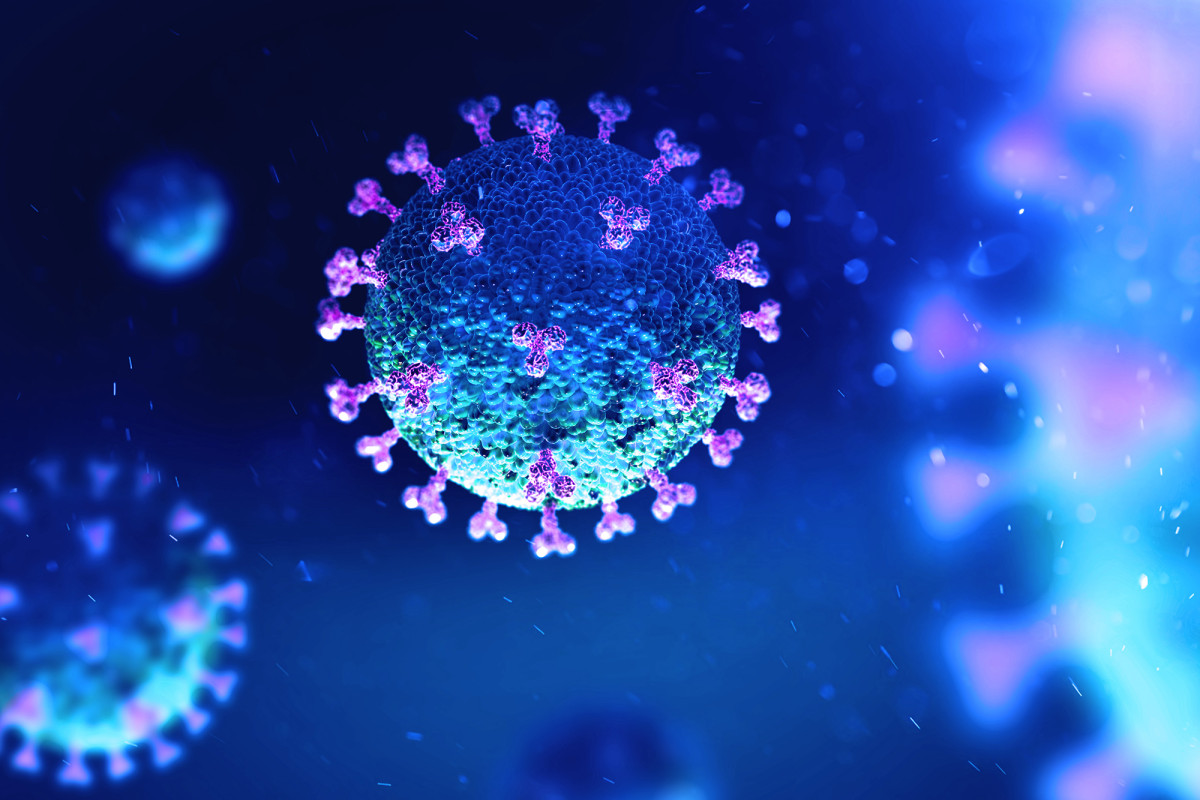 Two stillborn babies test positive for COVID-19 in
Israel 1