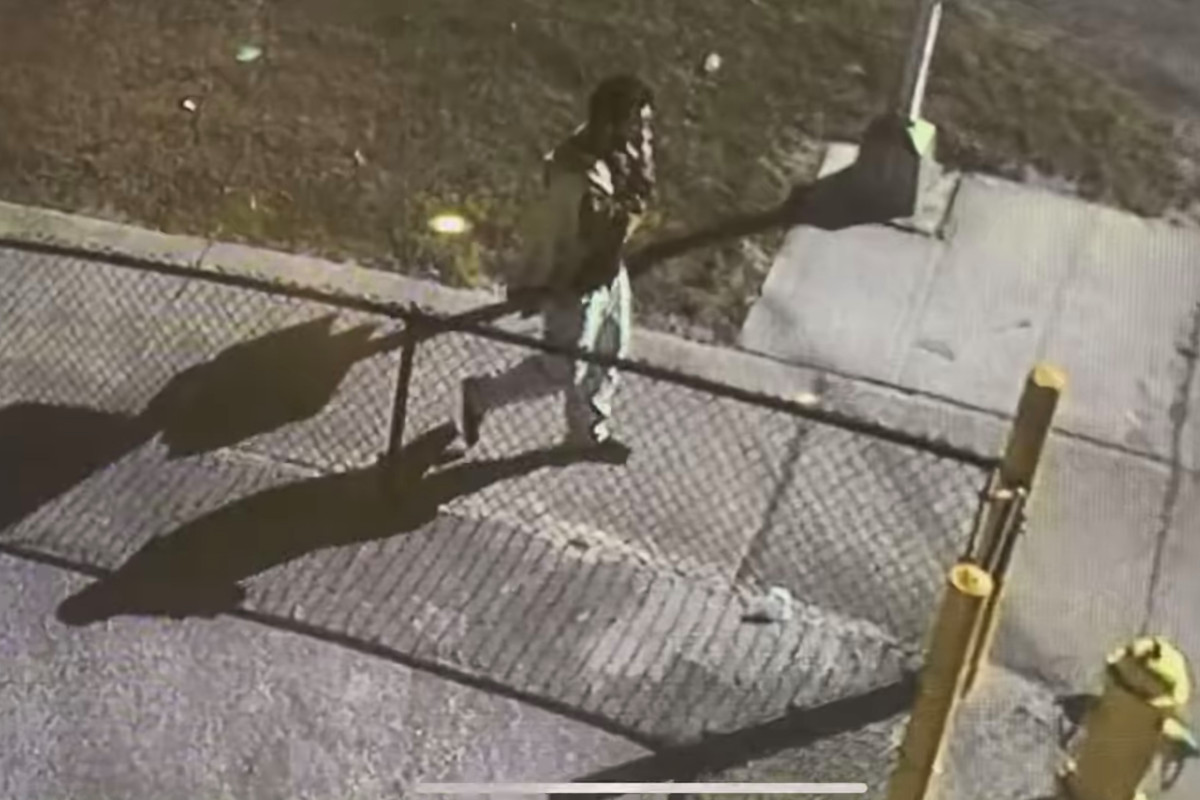 Florida man steals car carrying 30 vials of COVID-19
vaccine 1