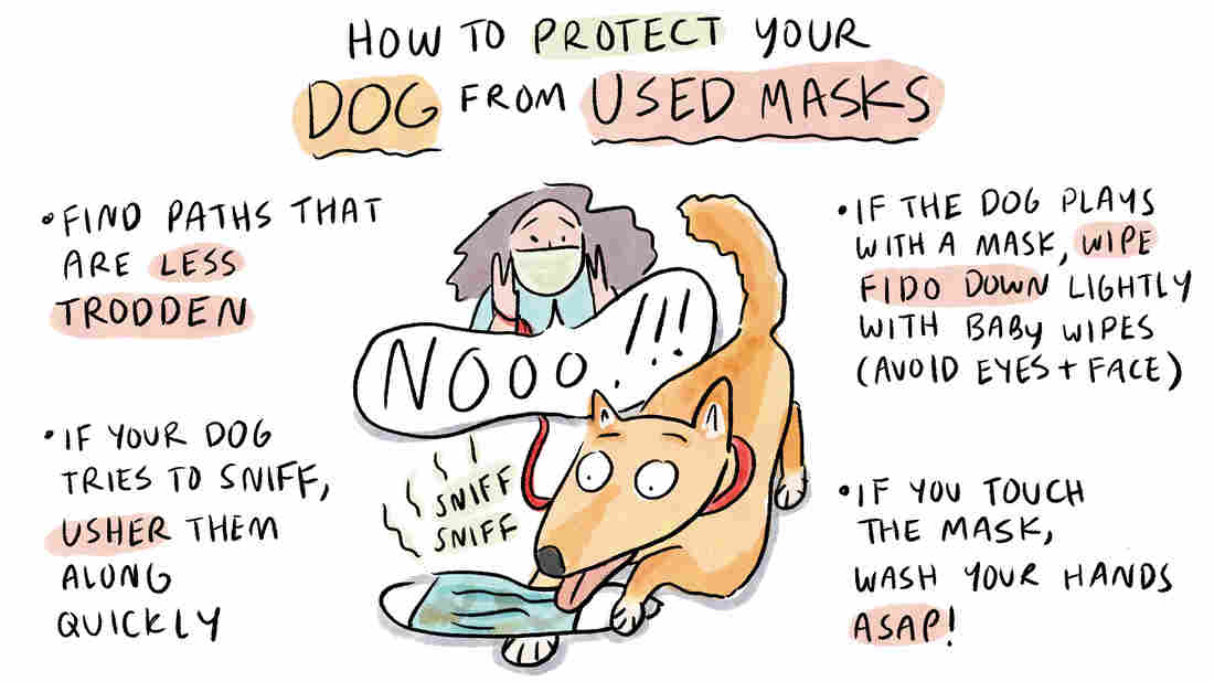 Coronavirus FAQs: Mammograms, Vaccine Ingredients ... And
Dogs Who Sniff Masks 1