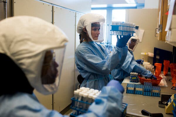 The Coronavirus Is a Master of Mixing Its Genome, Worrying
Scientists 1