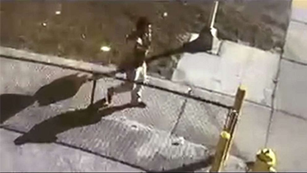 Car stolen with COVID-19 vaccines inside 1