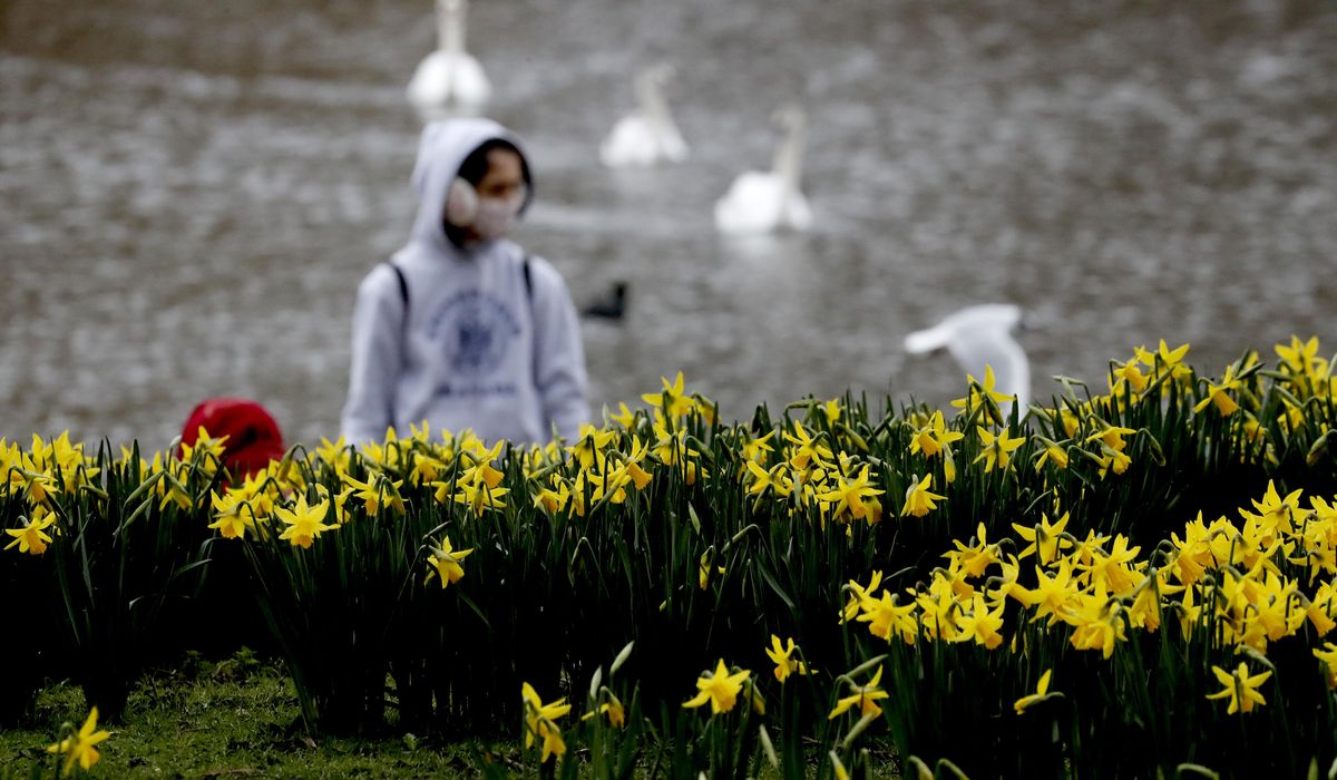 UK COVID-19 infections falling as govt mulls easing
lockdown 1
