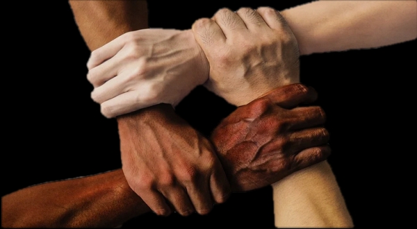 Law schools now ranked on 'whiteness' levels 1