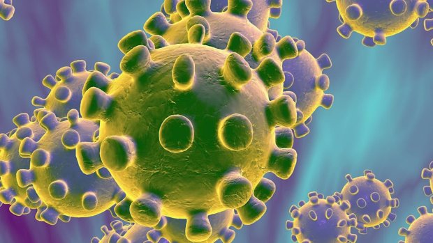 COVID: A user’s guide to the coronavirus variants emerging
in California and beyond 1