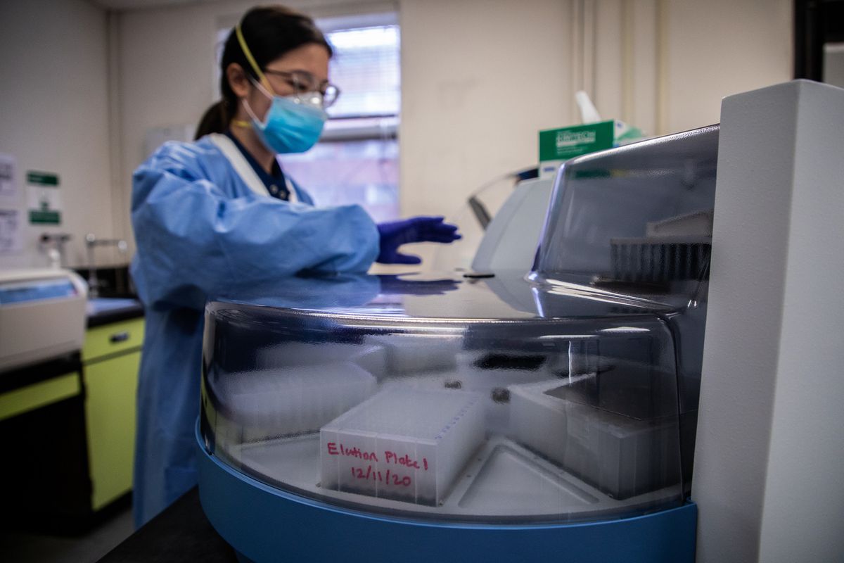 University of Illinois wins FDA approval for saliva COVID-19
test: ‘We’re wasting no time in deploying this,’ Gov. Pritzker
vows 1 University of Illinois wins FDA approval for saliva COVID-19
test: ‘We’re wasting no time in deploying this,’ Gov. Pritzker
vows 1