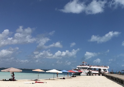 Spring Breakdown: LA Teachers’ Union Tries to Hide Vacations
Amid School Reopening Fight 1