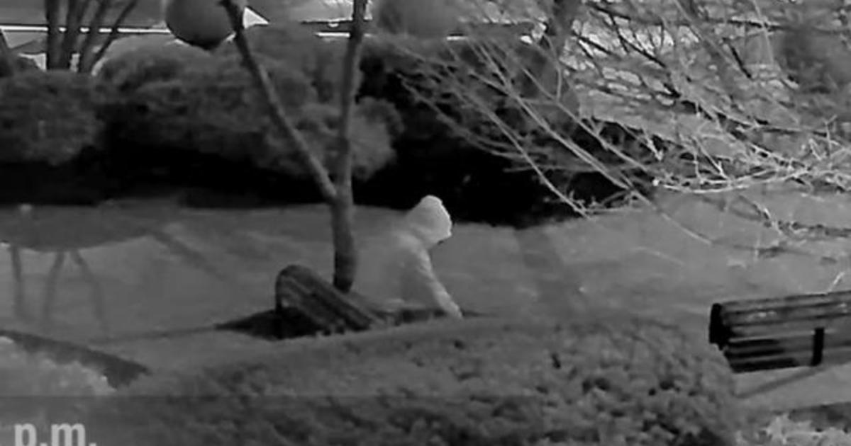 FBI releases new security video of pipe bomb suspect before
Capitol riot 1
