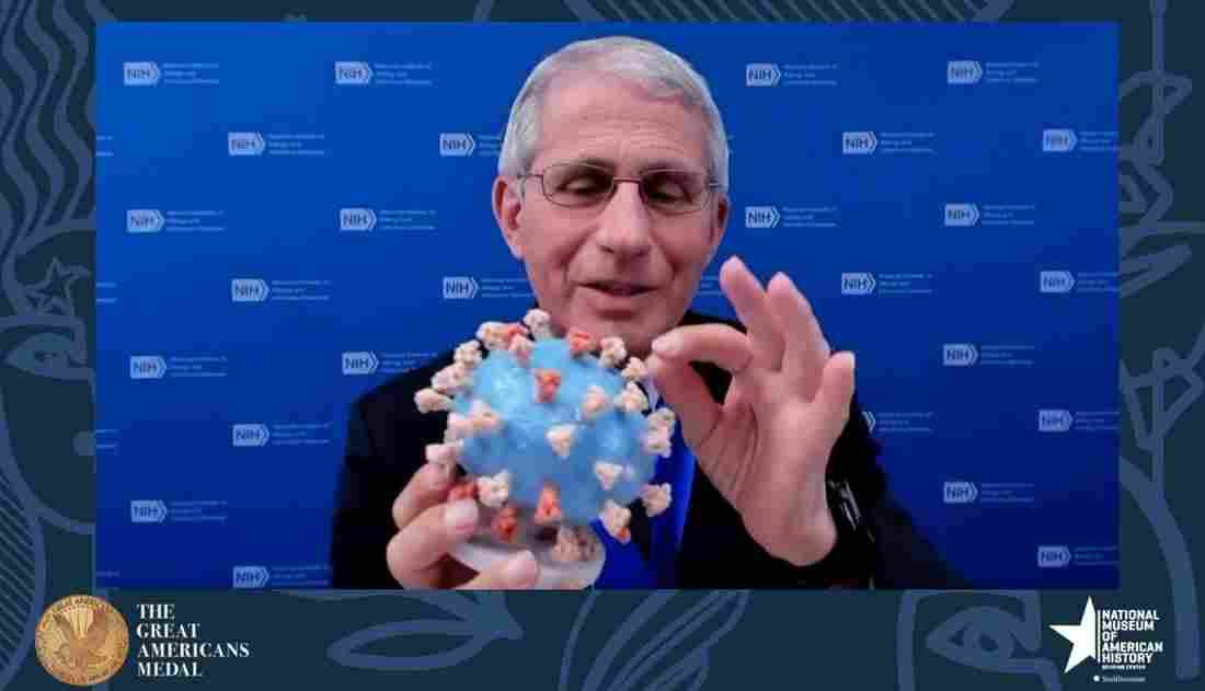 Fauci Donates Personal Coronavirus Model To
Smithsonian 1