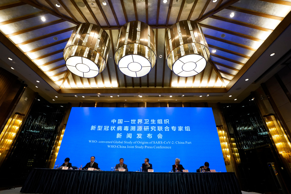 Joint report from China, WHO says animals were likely source
of COVID-19 1